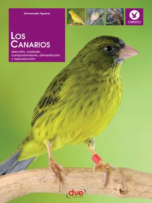 cover image of Los canarios. Elección, cuidado, comportamiento, alimentación y reproducción